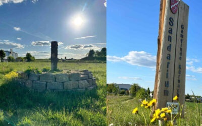 Sandarium bei HAAF: Ein Zuhause für Wildbienen und andere Nützlinge