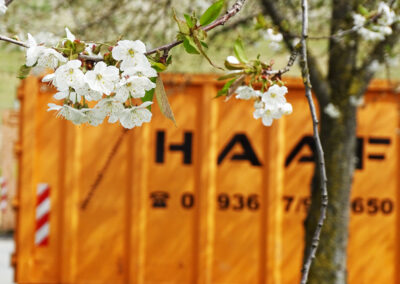 Weiße Blütenzweige im Vordergrund, im unscharfen Hintergrund ein orangefarbener HAAF-Container.