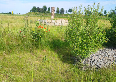 Blühwiese am Sandarium