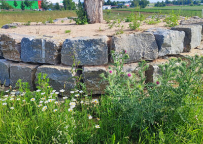 Natursteinmauer im Sandarium